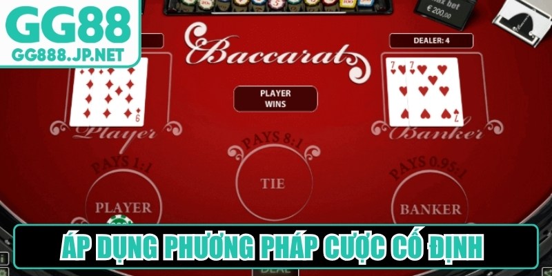 &Aacute;p dụng phương ph&aacute;p cược cố định l&agrave; b&iacute; quyết đ&aacute;nh Baccarat ph&ugrave; hợp