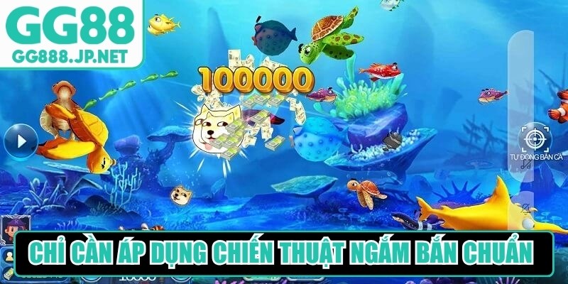 Chỉ cần áp dụng chiến thuật ngắm bắn chuẩn xác để thắng lớn