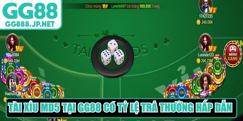 Tài xỉu MD5 tại GG88 có tỷ lệ trả thưởng hấp dẫn cùng giao dịch siêu tốc