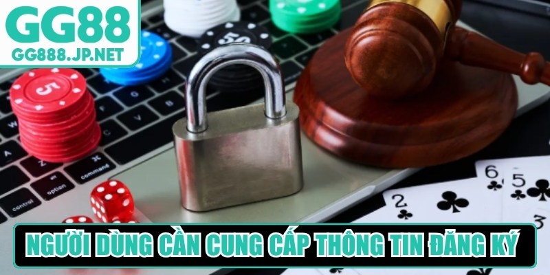 Người d&ugrave;ng cần phải cung cấp th&ocirc;ng tin đăng k&yacute; ch&iacute;nh x&aacute;c, đầy đủ&nbsp;
